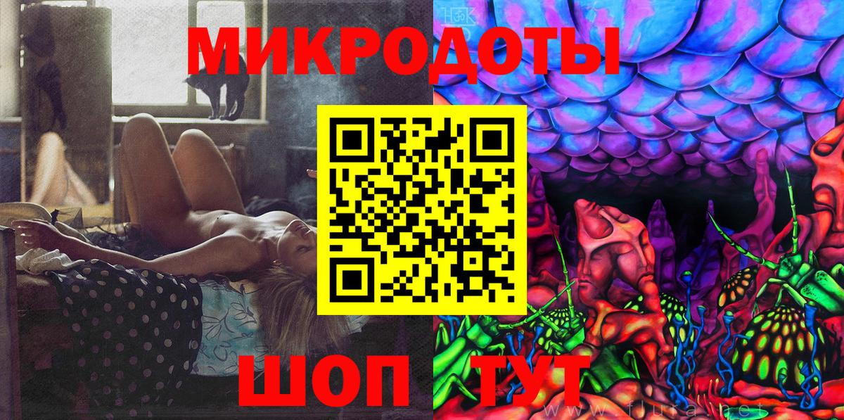 Псилоцибиновые грибы Psilocybine cubensis Находка