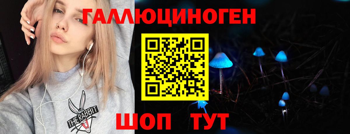 Псилоцибиновые грибы Psilocybe  Псилоцибиновые грибы ЛСД  Находка  Вход с VPN 